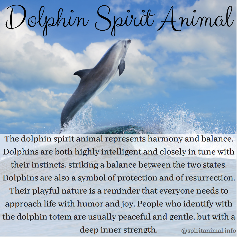 El espíritu animal del delfín