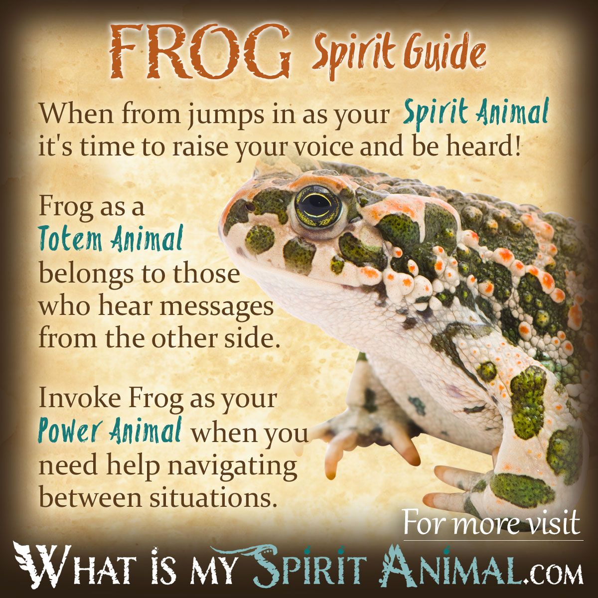 La rana, animal espiritual