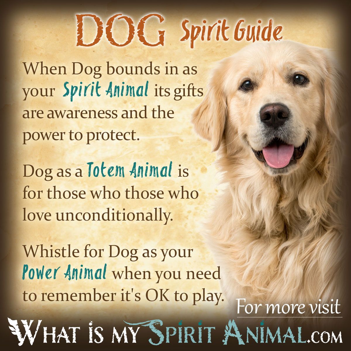 El espíritu del perro